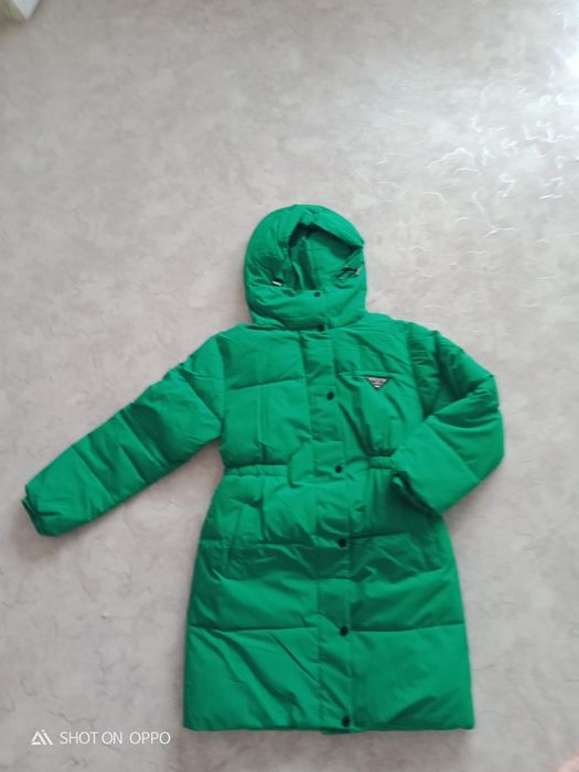 Курки зима и весна