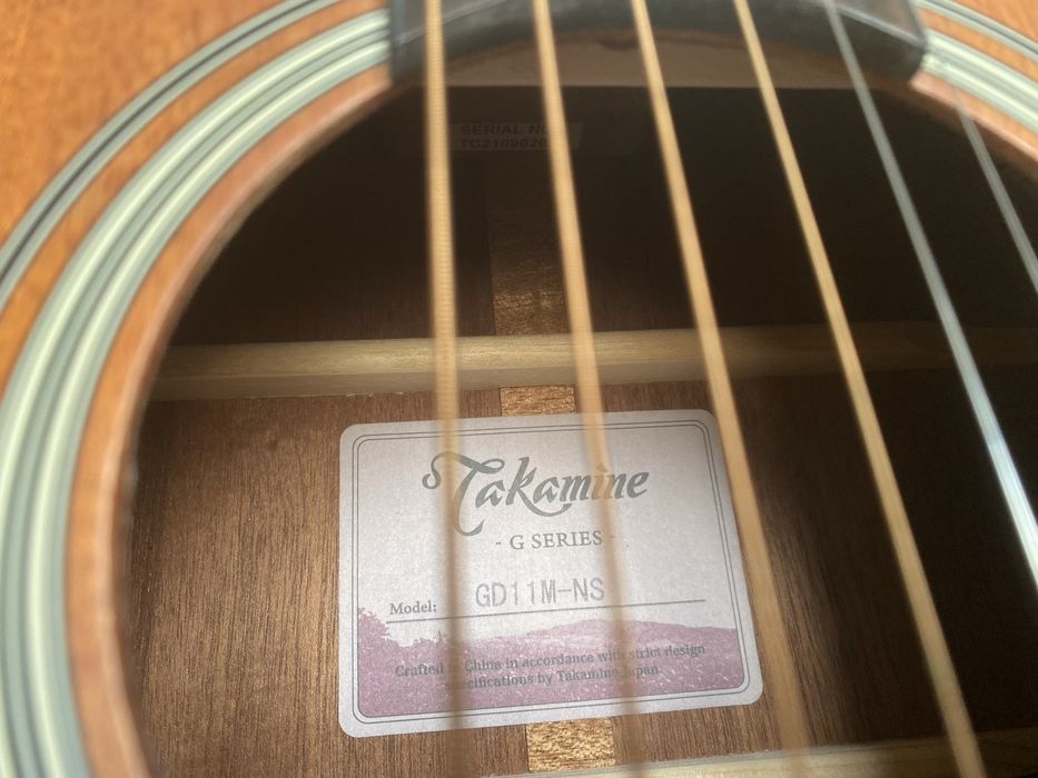 Takamine GD11M NS