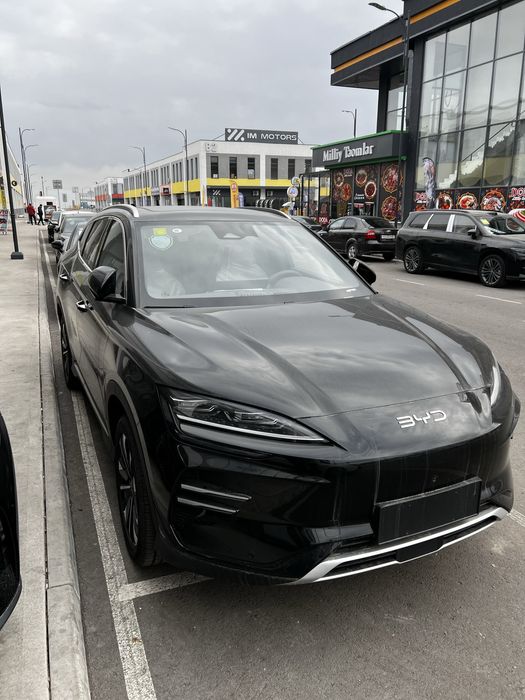 Byd Champion 2025 Smart