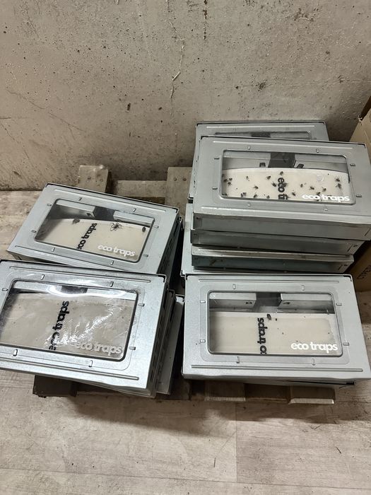 Мышеловки стальные срочно