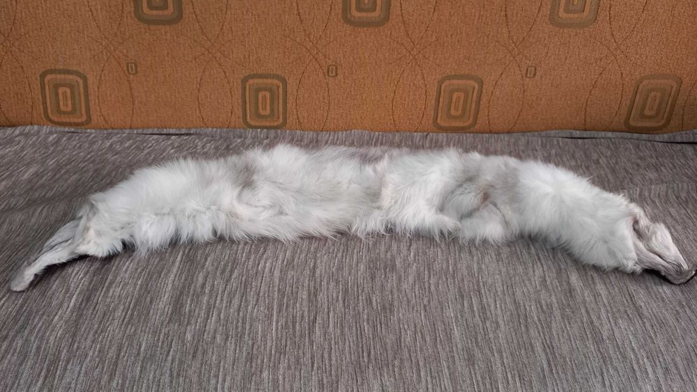 Caciula si Guler BLANA NATURALA, separat sau impreuna