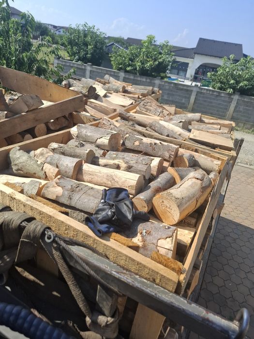 Vănd lemn foc la palet de 1,5 metri steri