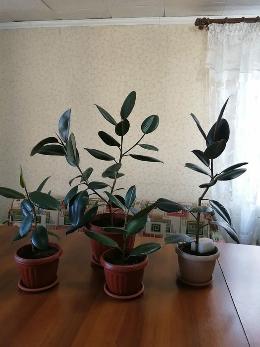 Продам срочно срочно