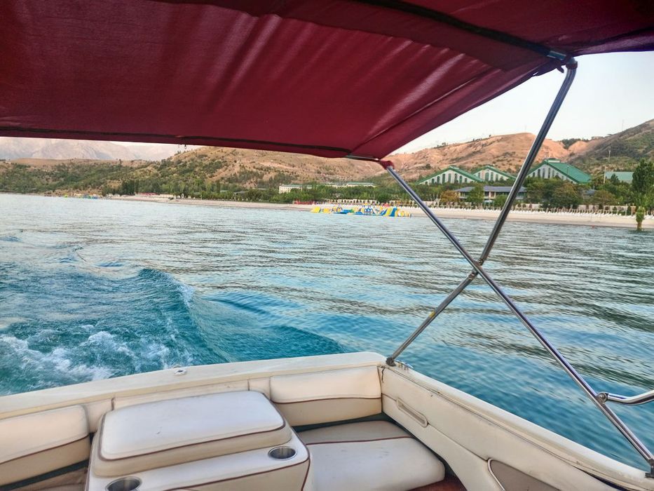 Katter sotiladi  Zor xolatda