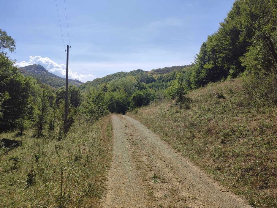 Продава се Парцел в с. Огоя, Област София-област - 1000 кв.м за 14 €/кв.м - Снимка #3