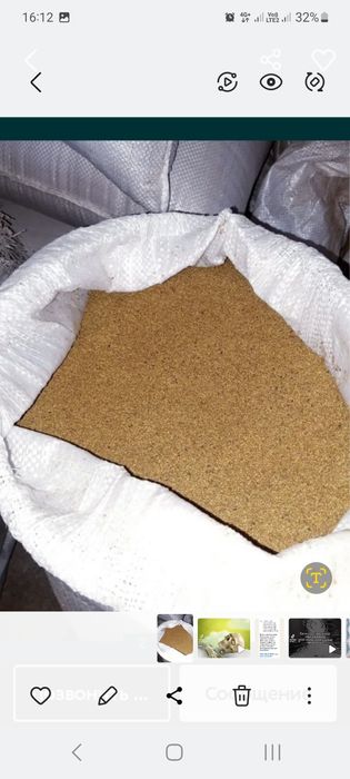 Жоңышқа ұрық. Семена