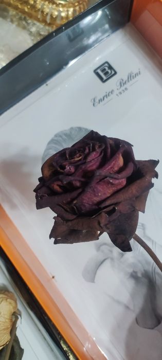 Куриган гуллар смола учун