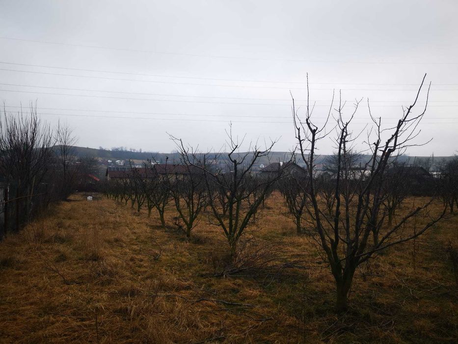 Teren intravilan Fălticeni – Str. Cloșca (FN), lângă Kaufland