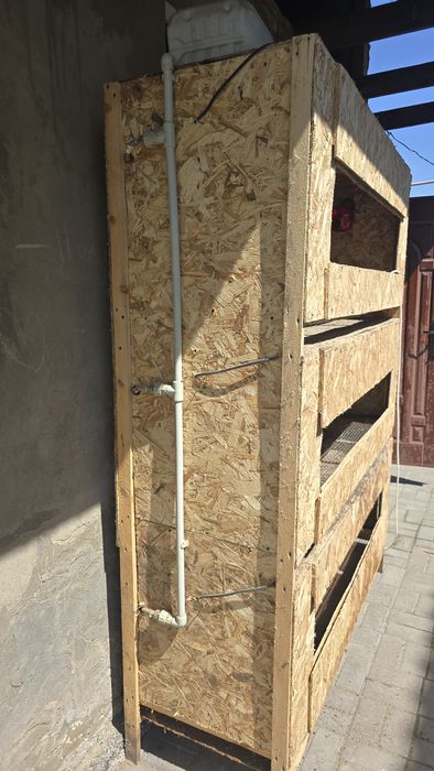 Брудер для цыплят