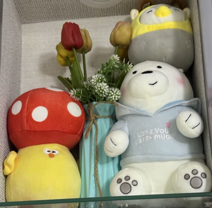 Мягкие игрушки Miniso