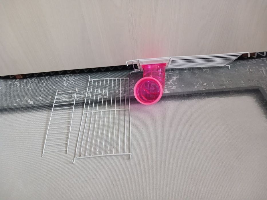 Предметы для грызунов