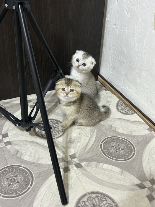 Продам город Уральск