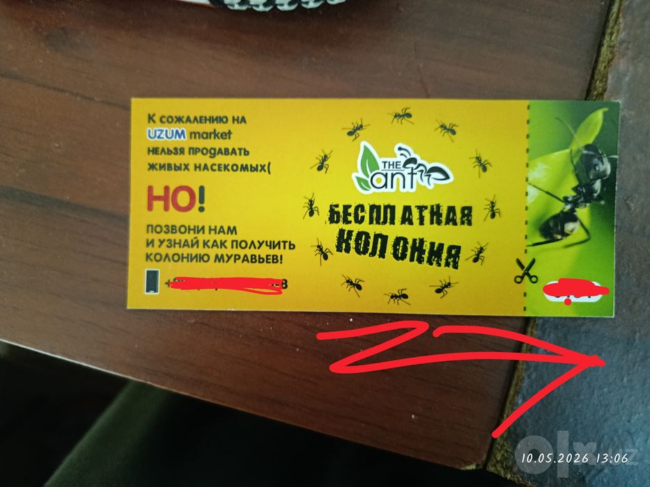 Продаю муравьиную ферму на запчясти все есть