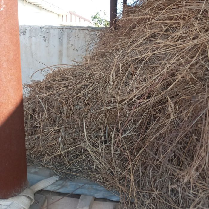 BEDA sotaman! Kelishilgan narxlarda!  Srochniy!