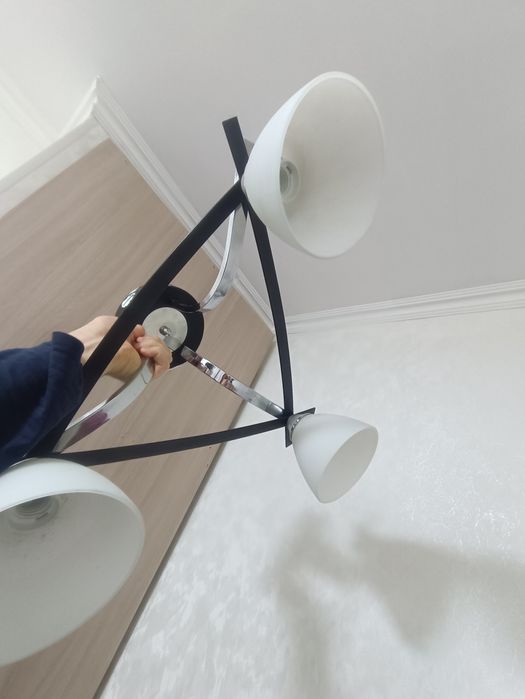 Люстра зверь, сатамын люстра найзағай.