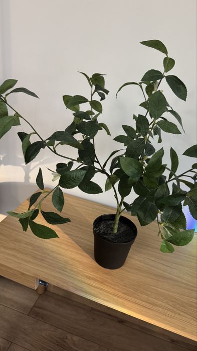 Planta artificiala Fejka Ikea