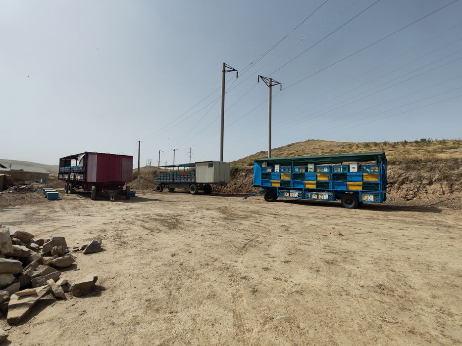 Мёд со своей пасеки.