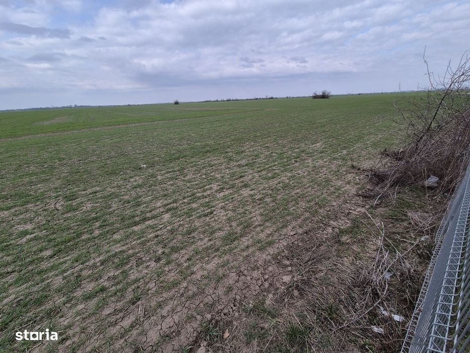 Vanzare teren intravilan 13.852mp, zona depozite Domnesti