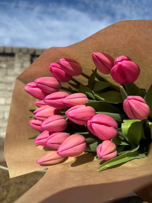 Тюльпаны голландские оптом по 16.000