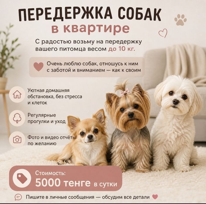 Передержка собак, зоогостиница