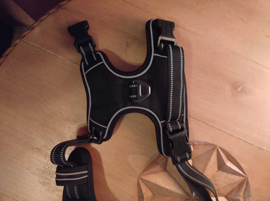 Ham catei, harness dog, lesa - zgarda