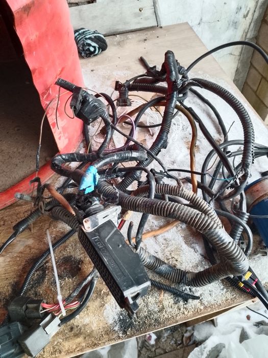 Газель инжектор мозга коса