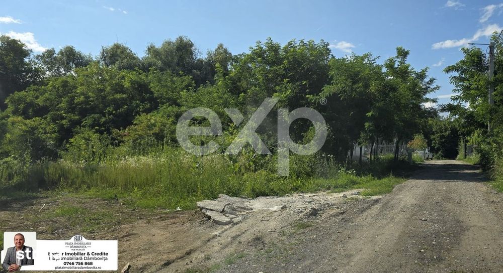 Teren intravilan 670 mp – Viforata, com. Aninoasa, jud. Dambovita