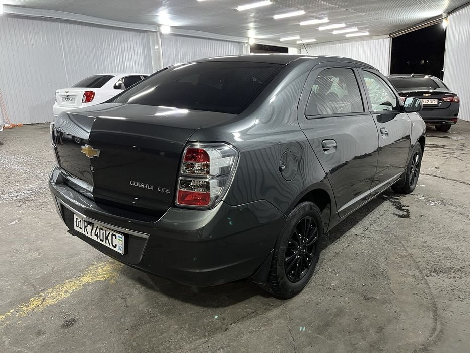 Cobalt midnight 2025