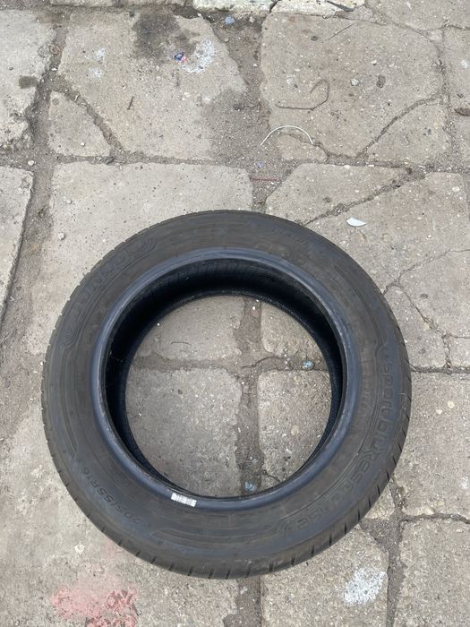Cauciucuri vara dunlop / 205 / 55 / 16