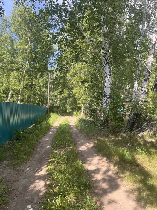 Продам дачу в с/т Борки в лесном массиве