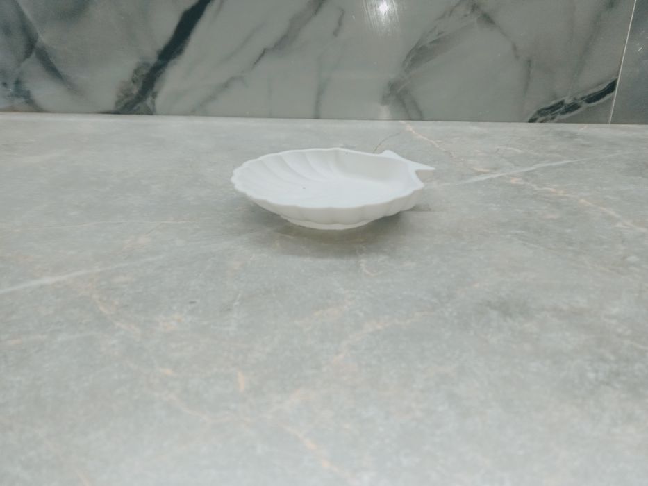 Тойбастар гипс ракушка