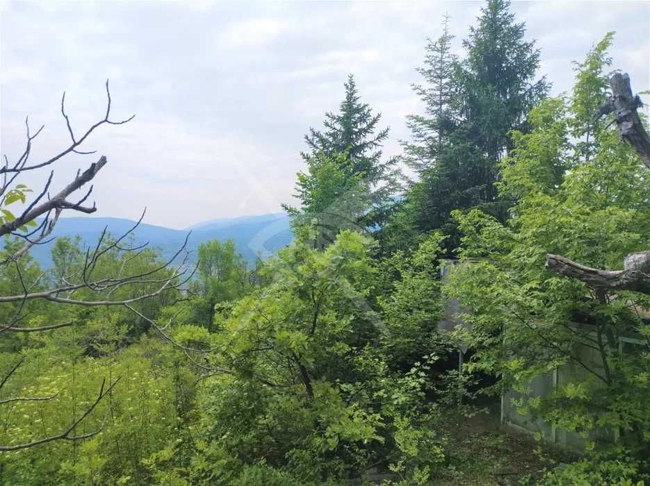 Парцел в с.Храбрино! 104743