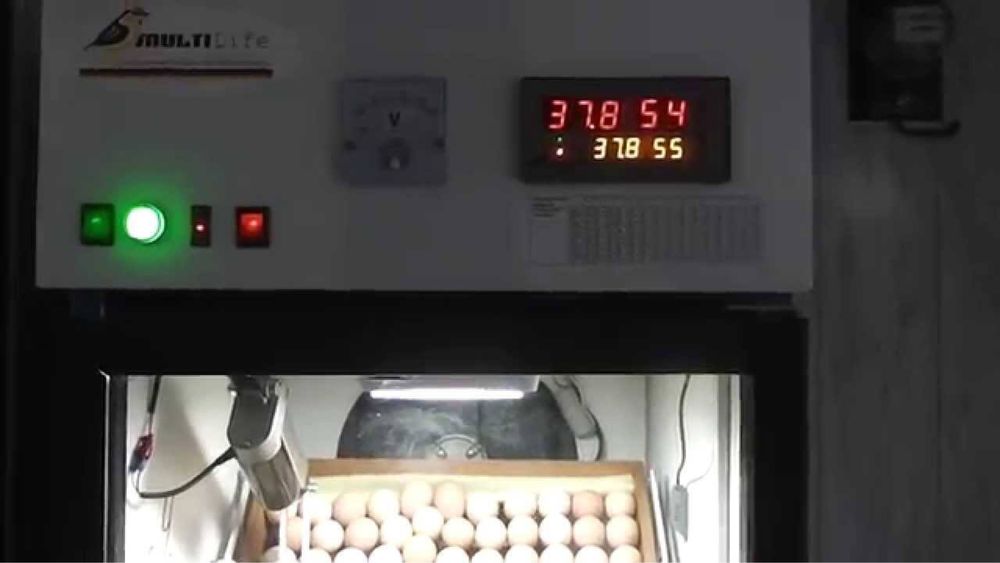 INKUBATOR XIZMAT larini taklif e’tamiz