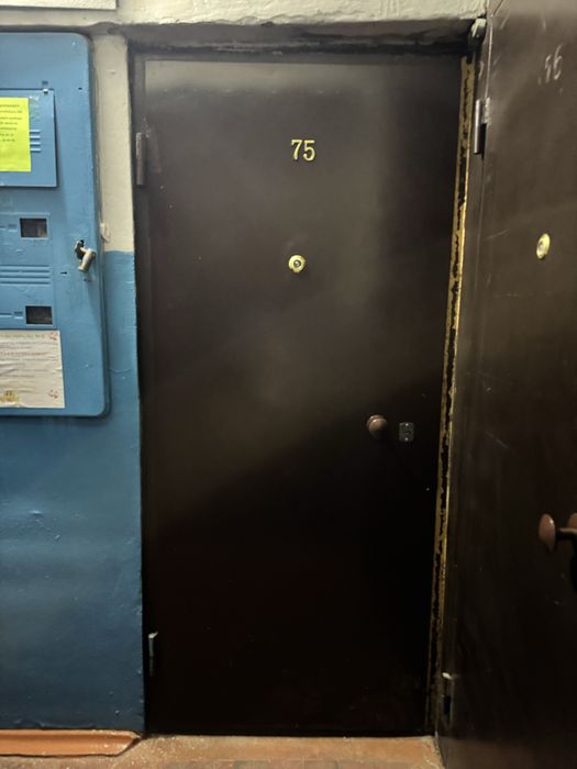 Даерь входная, металлическая