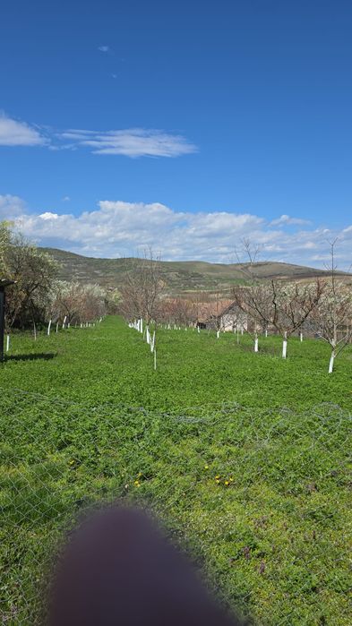 Vand teren pt casa Turdaș com. Hoparta, jud Alba