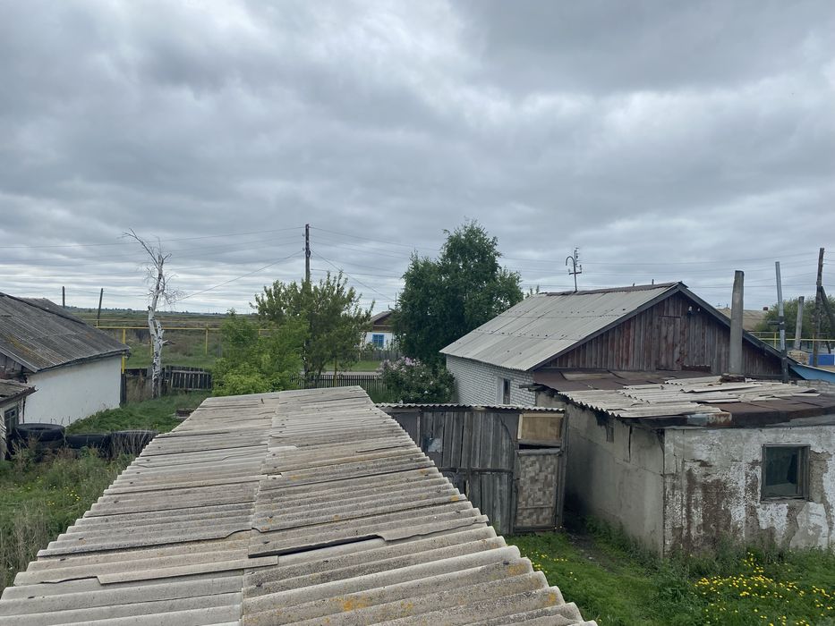 Дом в с Перцевка