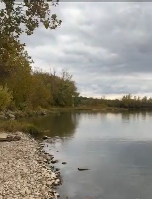 Пруды на Ташморе на 4 гектарах