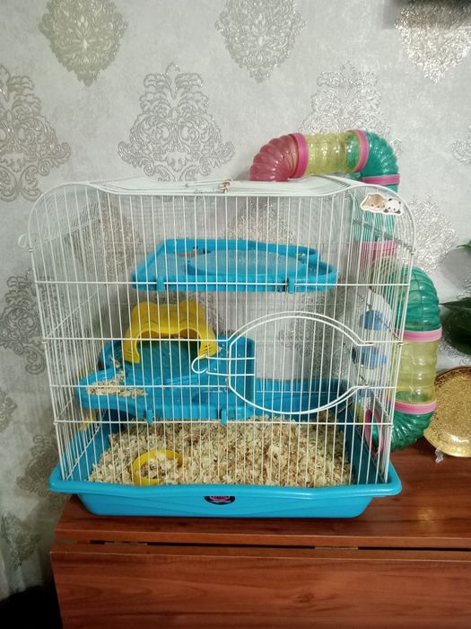 Продам клетку и 5 хомячков