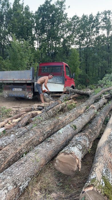 Vand lemne in judet Mehedinti !