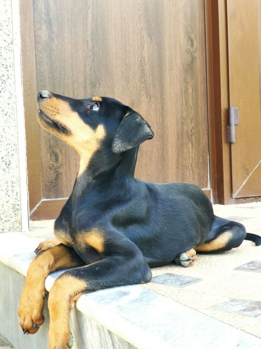 Haqiqiy yigitlardan Lerani siking