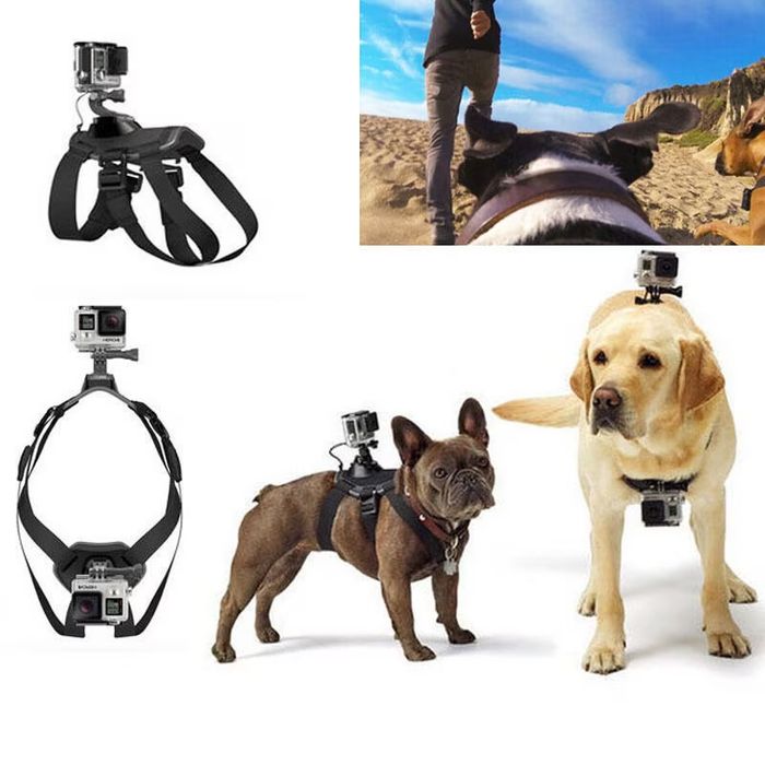 Ham GoPro caine compatibil orice model