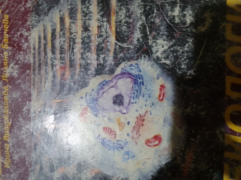 Биология и здравно образование 9клас