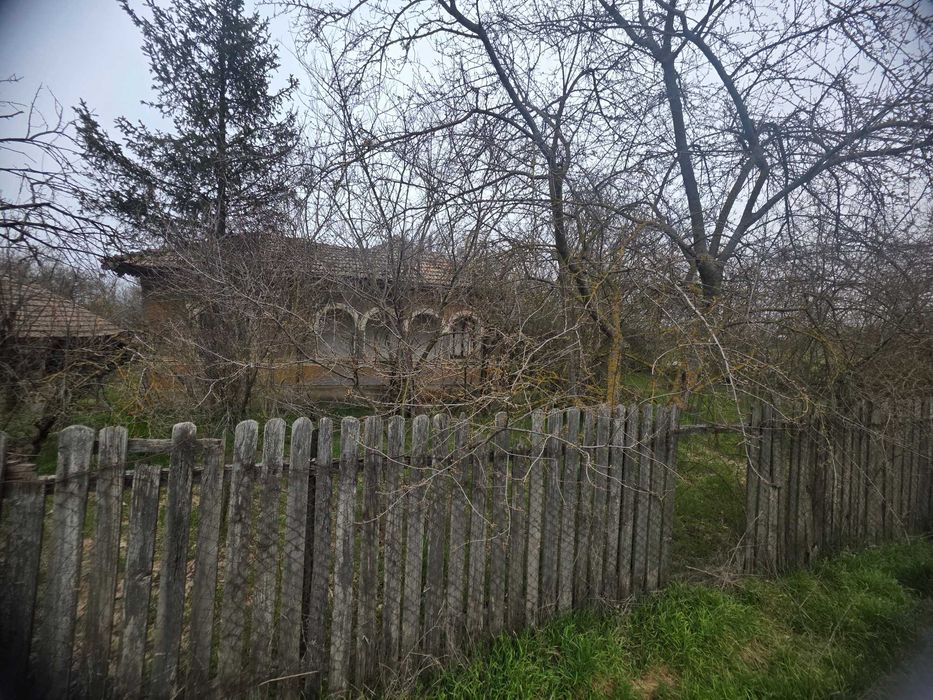 Teren 5000mp intravilan + casa veche | Curcani - Calarasi | 50km Buc