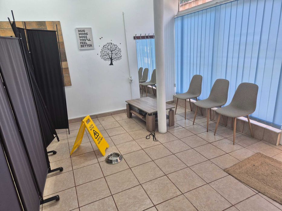 Salon Frizerie Canina si Felina de vanzare!
