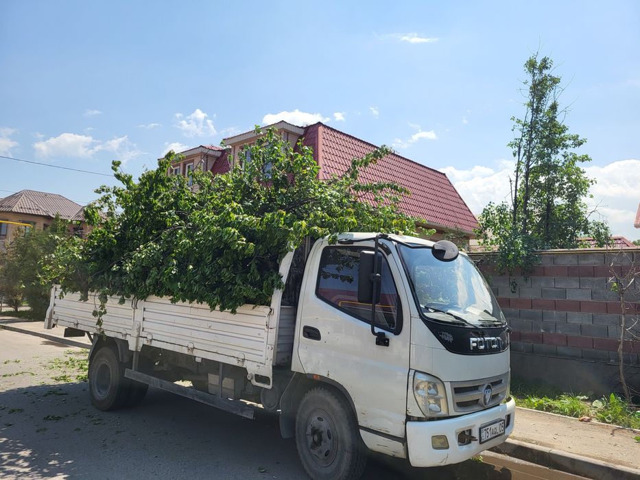 Вывоз мусора,доставка Спил деревьев