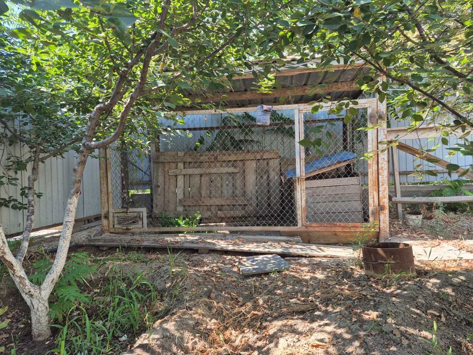 Вольер с будкой для собаки