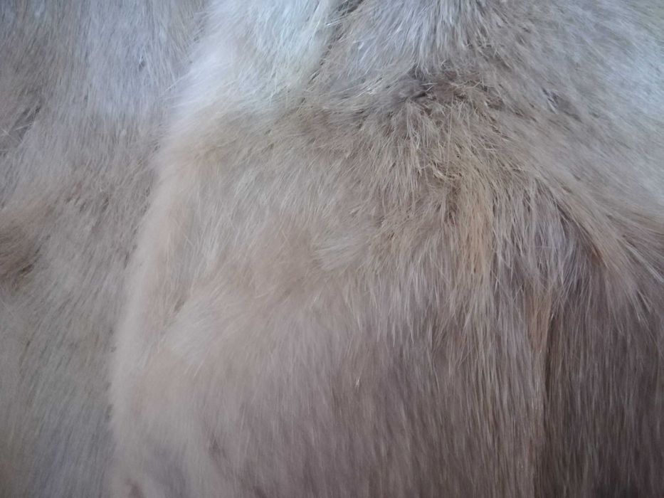 Blanite Nutrie intregi