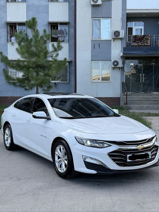 Malibu 2.4 Mator Kraskasi tozza 100%