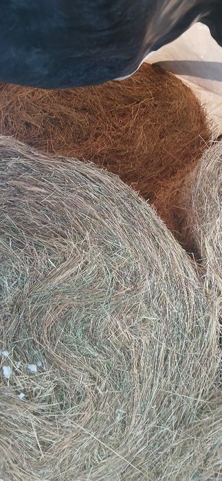 Baloti de fân   !!,