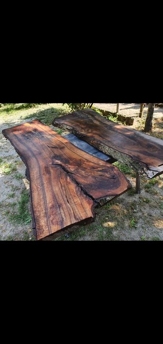 Cherestea blaturi rasină, lemn de nuc, stejar, dud, cires, ulm, paltin